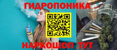 сатива Камень-на-Оби