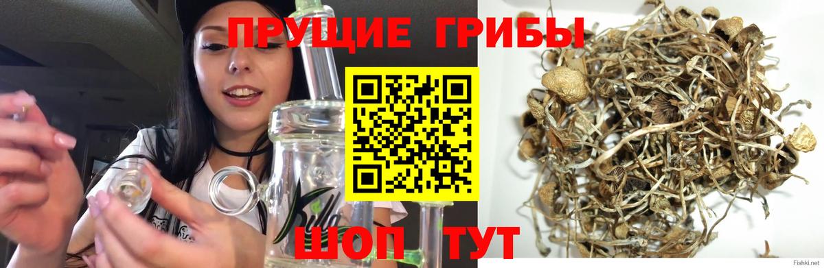 Галлюциногенные грибы мицелий Туапсе